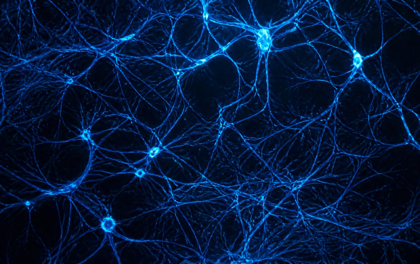 Neural network imaging from research settings. Adaptation depends on signalling, not stimulation.